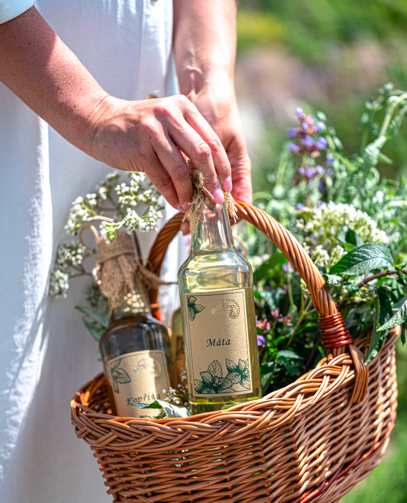 Jak to všechno začalo – začátky rodinného projektu Bylinkarium Katov.