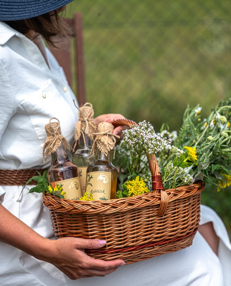 Co nabízí bylinková zahrada kousek od Velké Bíteše
