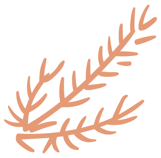 Ikona bylinkové zahrady Bylinkarium Katov