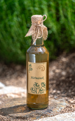 Bylinkový sirup heřmánek z Bylinkarium Katov,