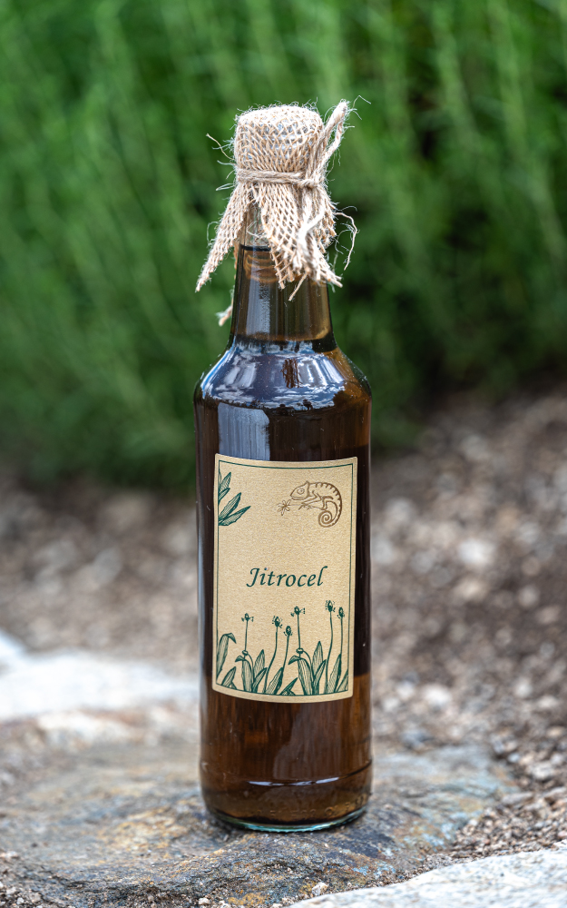 Bylinkový sirup Jitrocel z Bylinkarium Katov, oceněný značkou kvality Klasa.<br />
