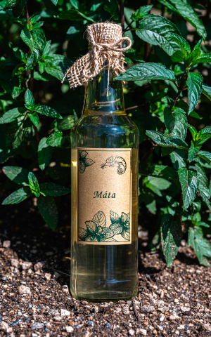 Bylinkový sirup máta z Bylinkarium Katov,