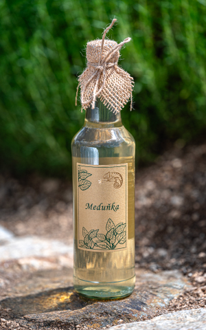 Bylinkový sirup meduňka z Bylinkarium Katov,